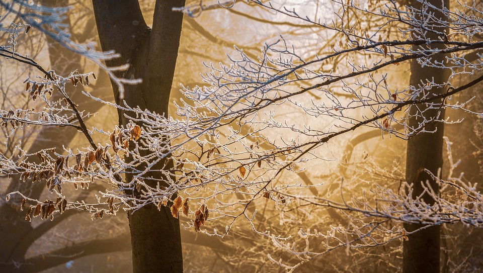 Le Froid S Installe La France Coup E En Deux En Milieu De Semaine