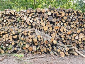 Ménages se chauffant au bois : l'aide de 50 à 200 euros pourra être demandée à partir du 22 décembre