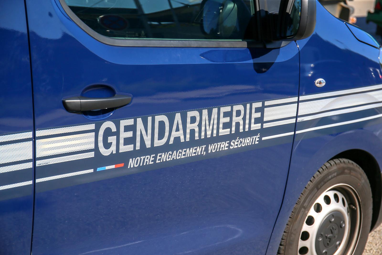 Elle Percute La Voiture Des Gendarmes : La Rédaction Du Constat Prend ...