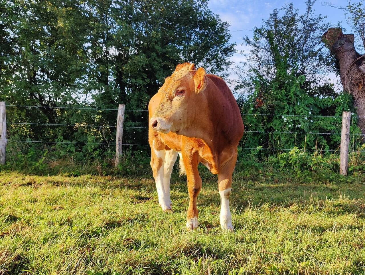 Le Mans. Vive le jardin et la ferme l Arche de la nature