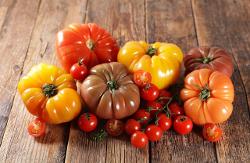 Tomates rouges, noires ou jaunes : quelle différence ?